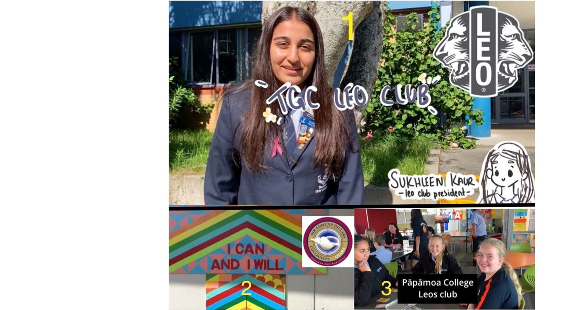Leos Video Contest