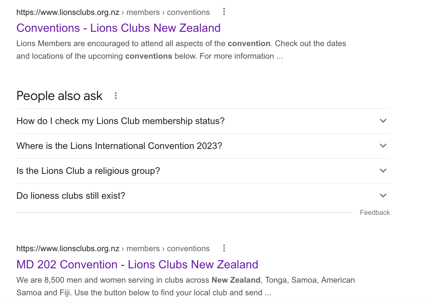 Google result example.png