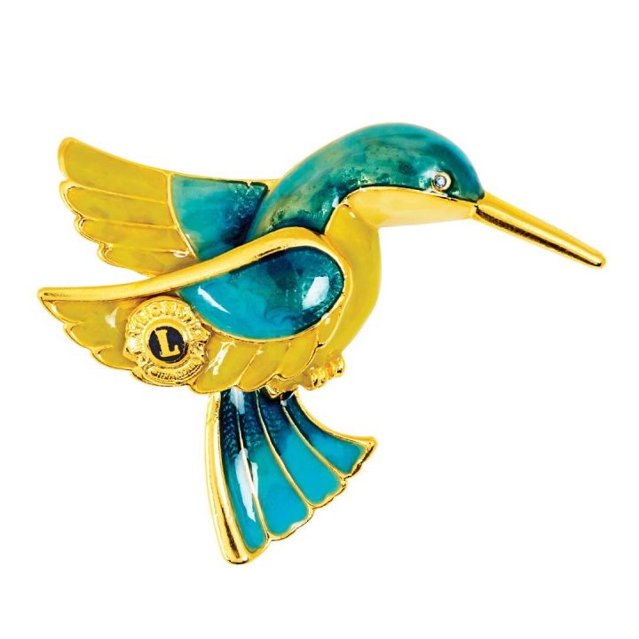 Hummingbird Pin.jpg