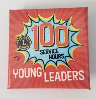 Y94B - 100 Service Hours Pin.JPG